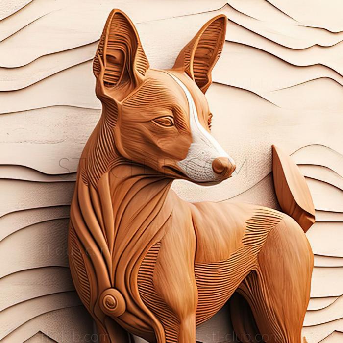 st Basenji dog